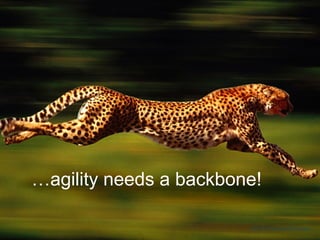 CC-BY GardenOfEaden
…agility needs a backbone!
 