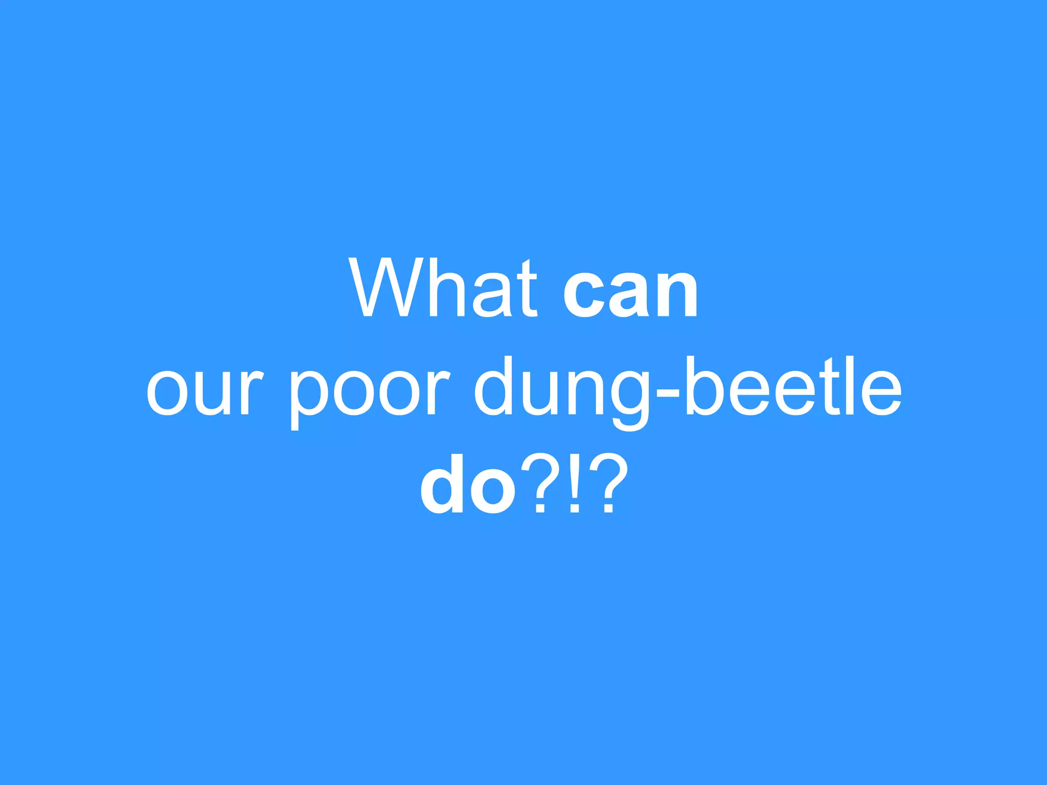 What can
our poor dung-beetle
do?!?

 