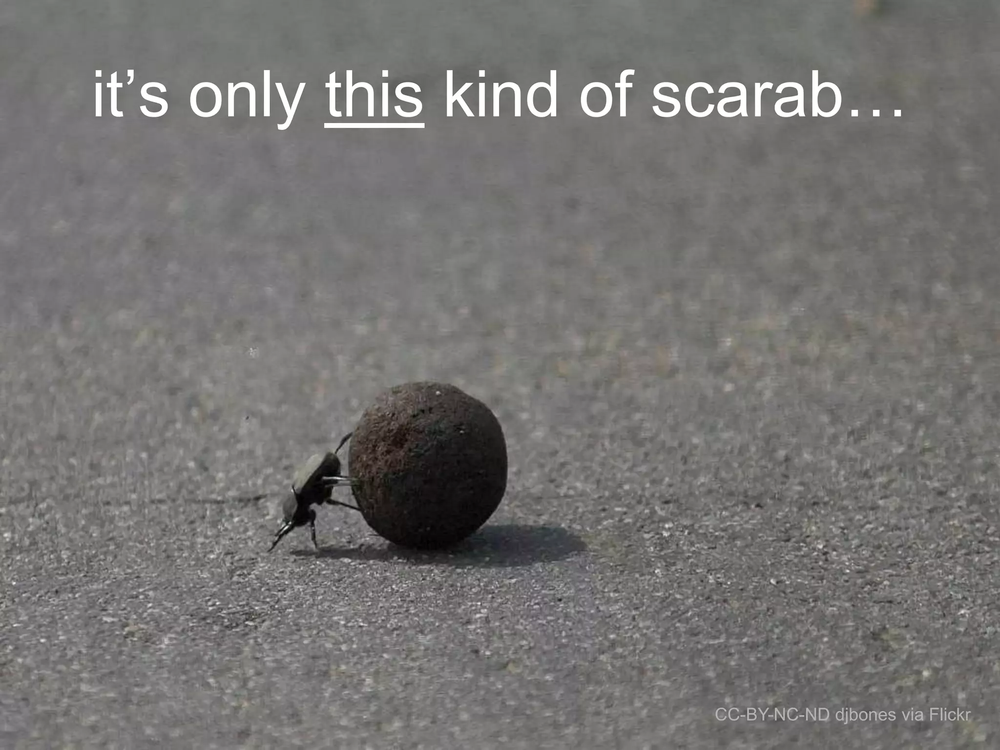 it‟s only this kind of scarab…

CC-BY-NC-ND djbones via Flickr

 