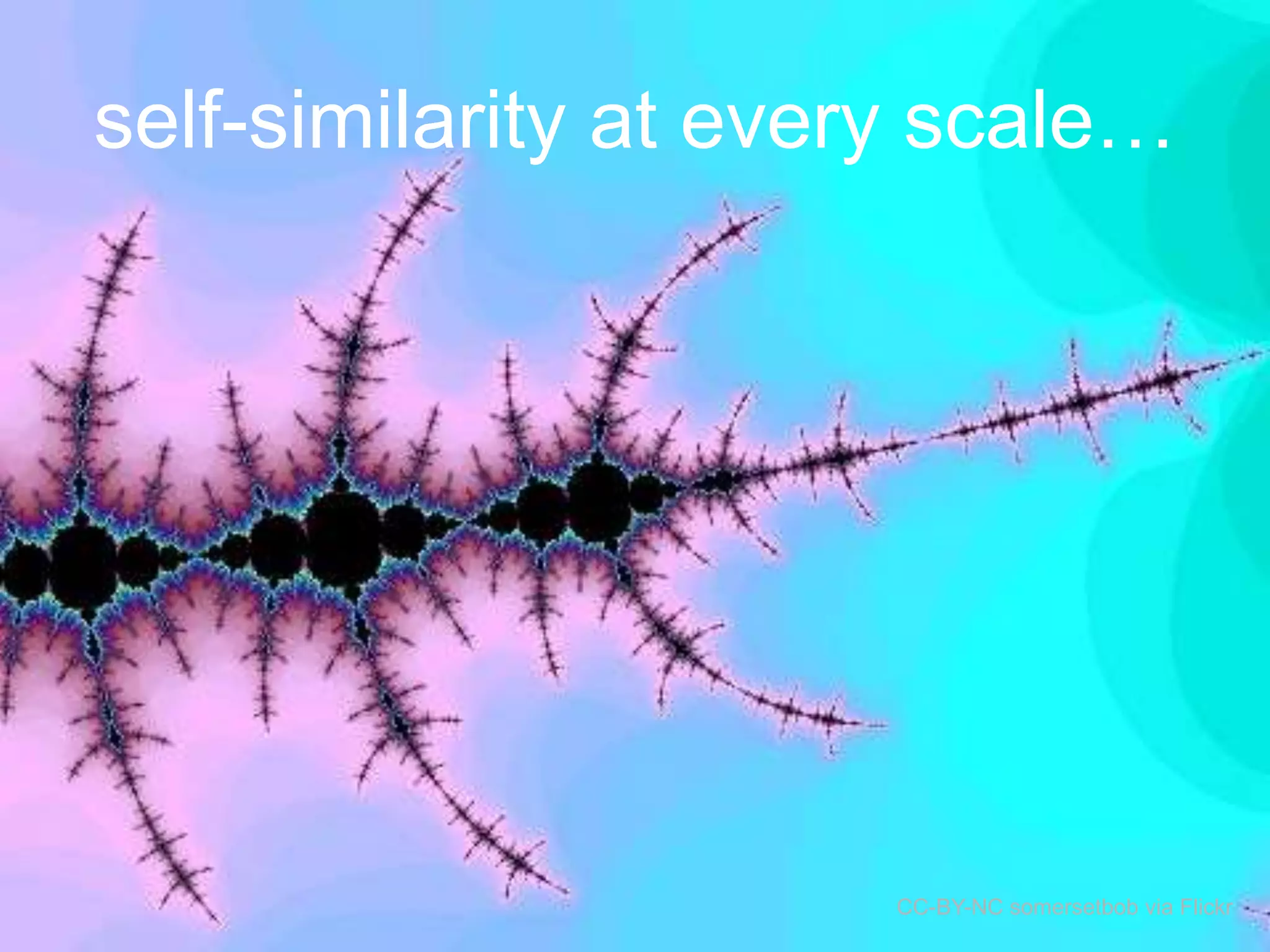 self-similarity at every scale…

CC-BY-NC somersetbob via Flickr

 