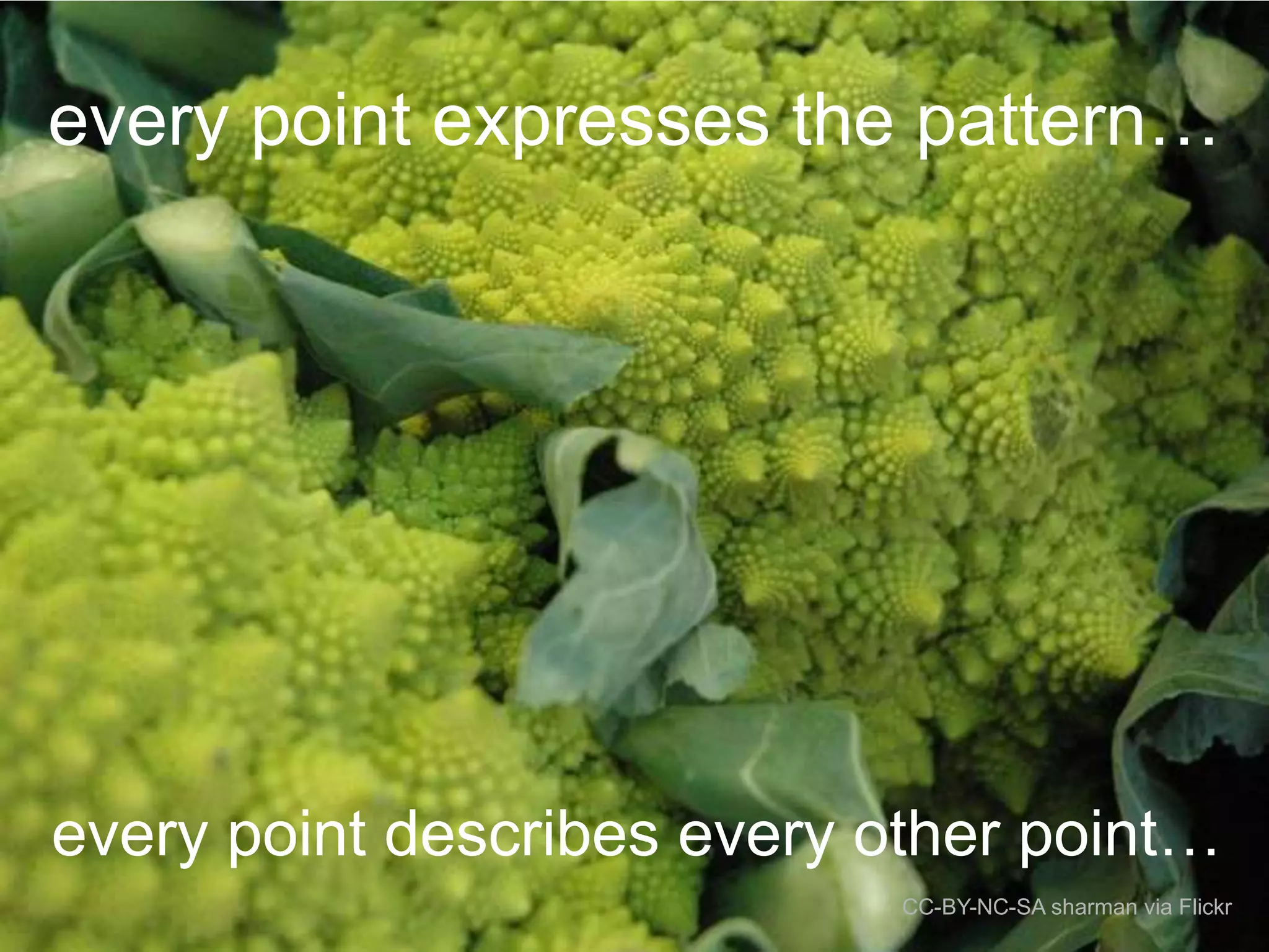 every point expresses the pattern…

every point describes every other point…
CC-BY-NC-SA sharman via Flickr

 