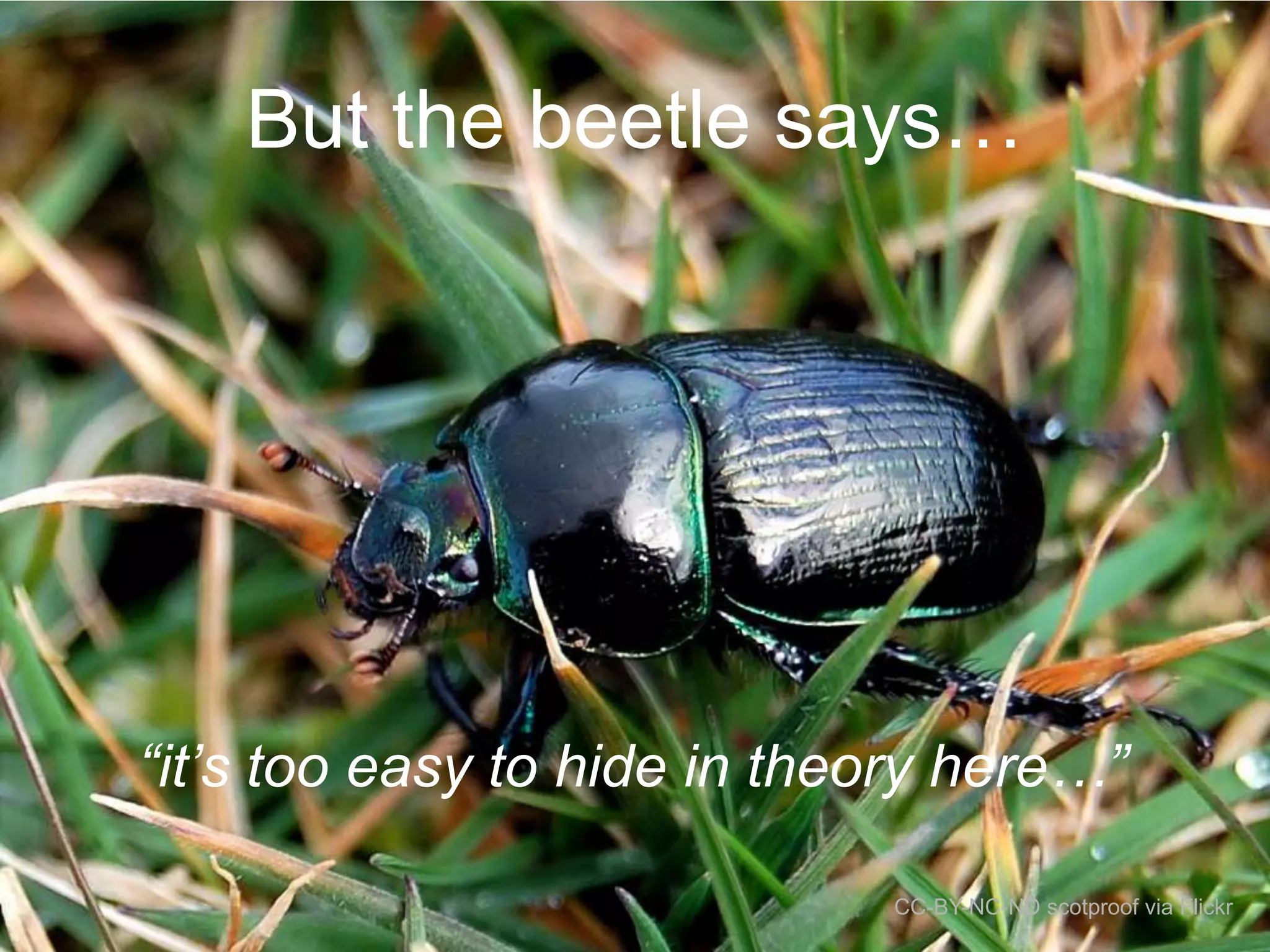 But the beetle says…

“it‟s too easy to hide in theory here…”
CC-BY-NC-ND scotproof via Flickr

 