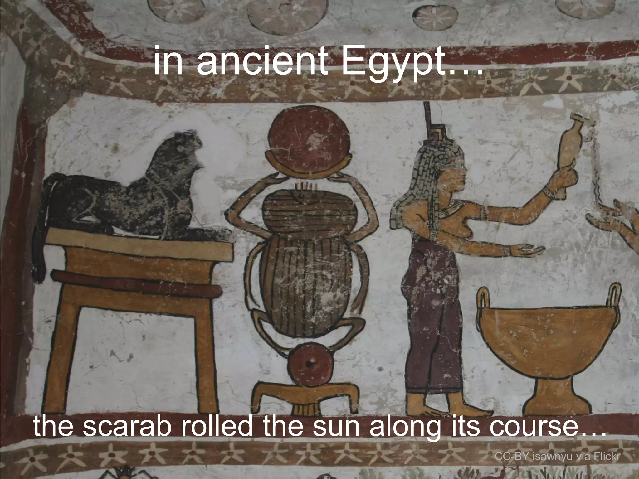 in ancient Egypt…

the scarab rolled the sun along its course…
CC-BY isawnyu via Flickr

 