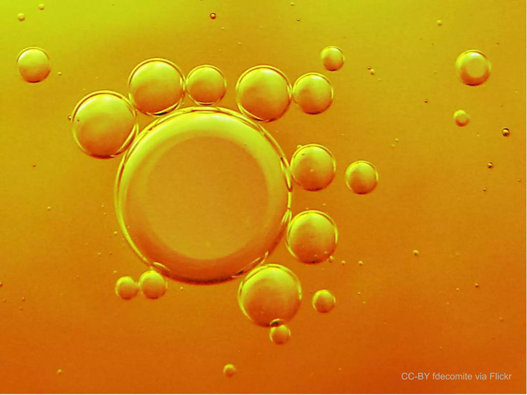 fractals…

CC-BY fdecomite via Flickr

 