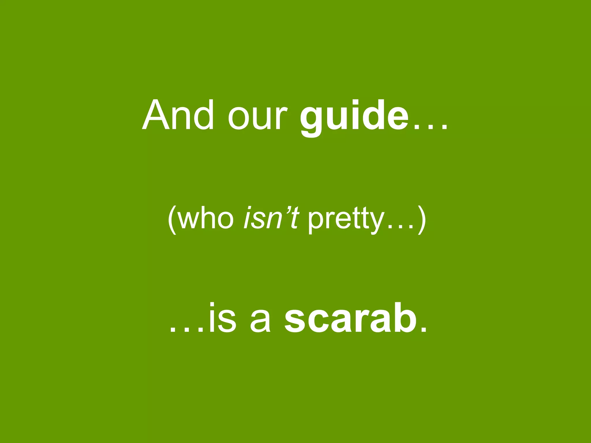 And our guide…
(who isn‟t pretty…)

…is a scarab.

 