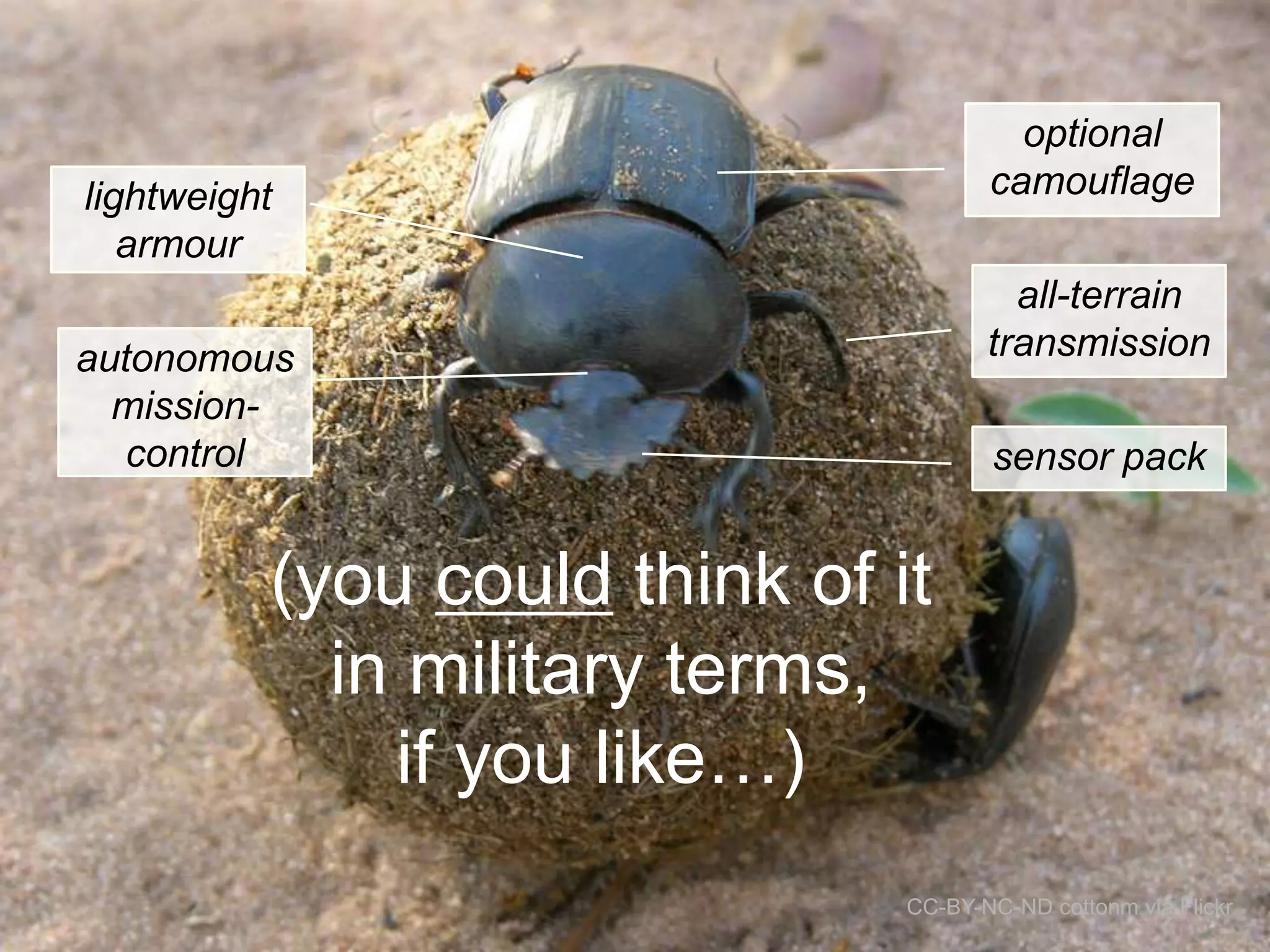 optional
camouflage

lightweight
armour

all-terrain
transmission

autonomous
missioncontrol

sensor pack

(you could think of it
in military terms,
if you like…)
CC-BY-NC-ND cottonm via Flickr

 