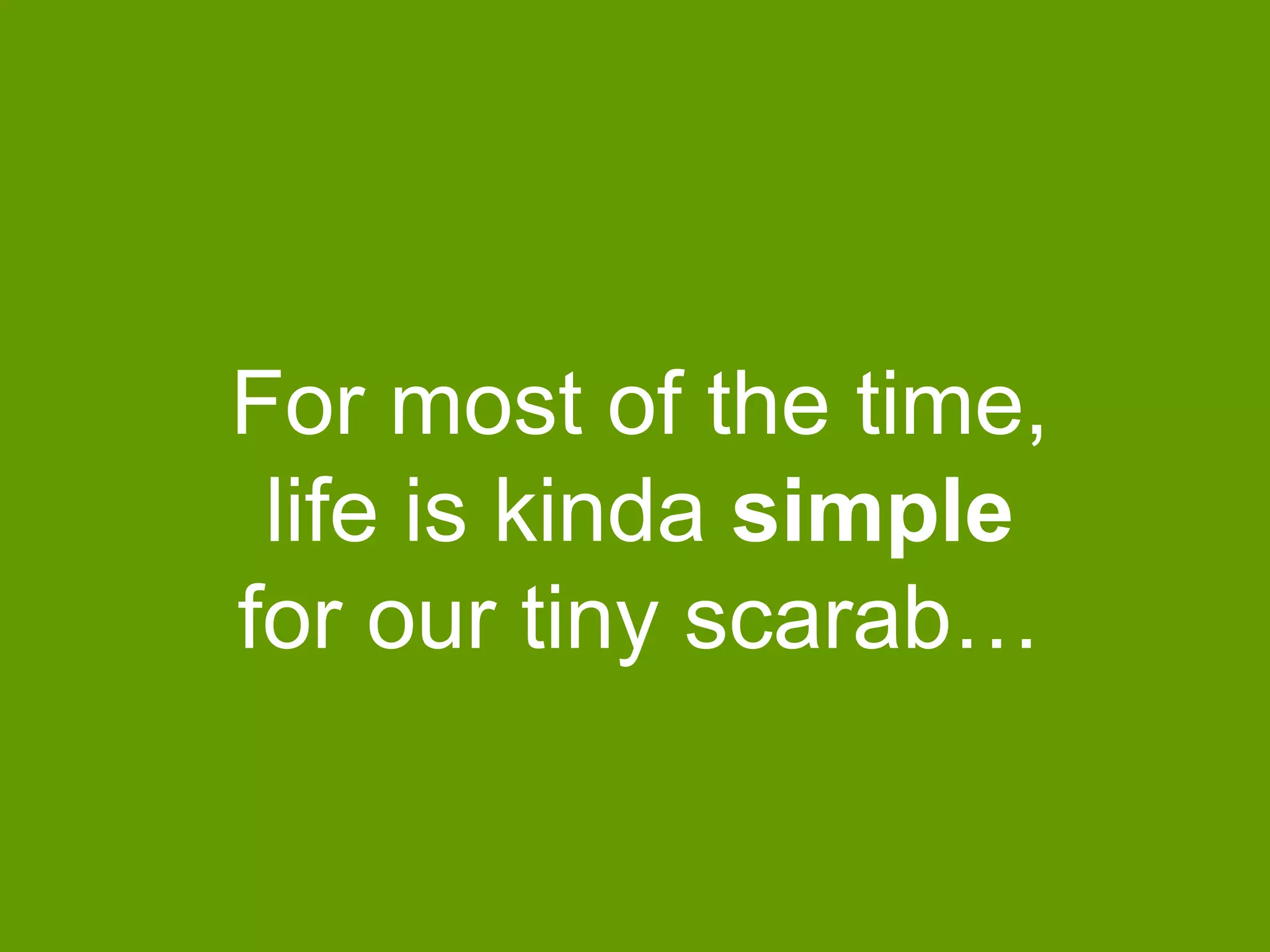For most of the time,
life is kinda simple
for our tiny scarab…

 