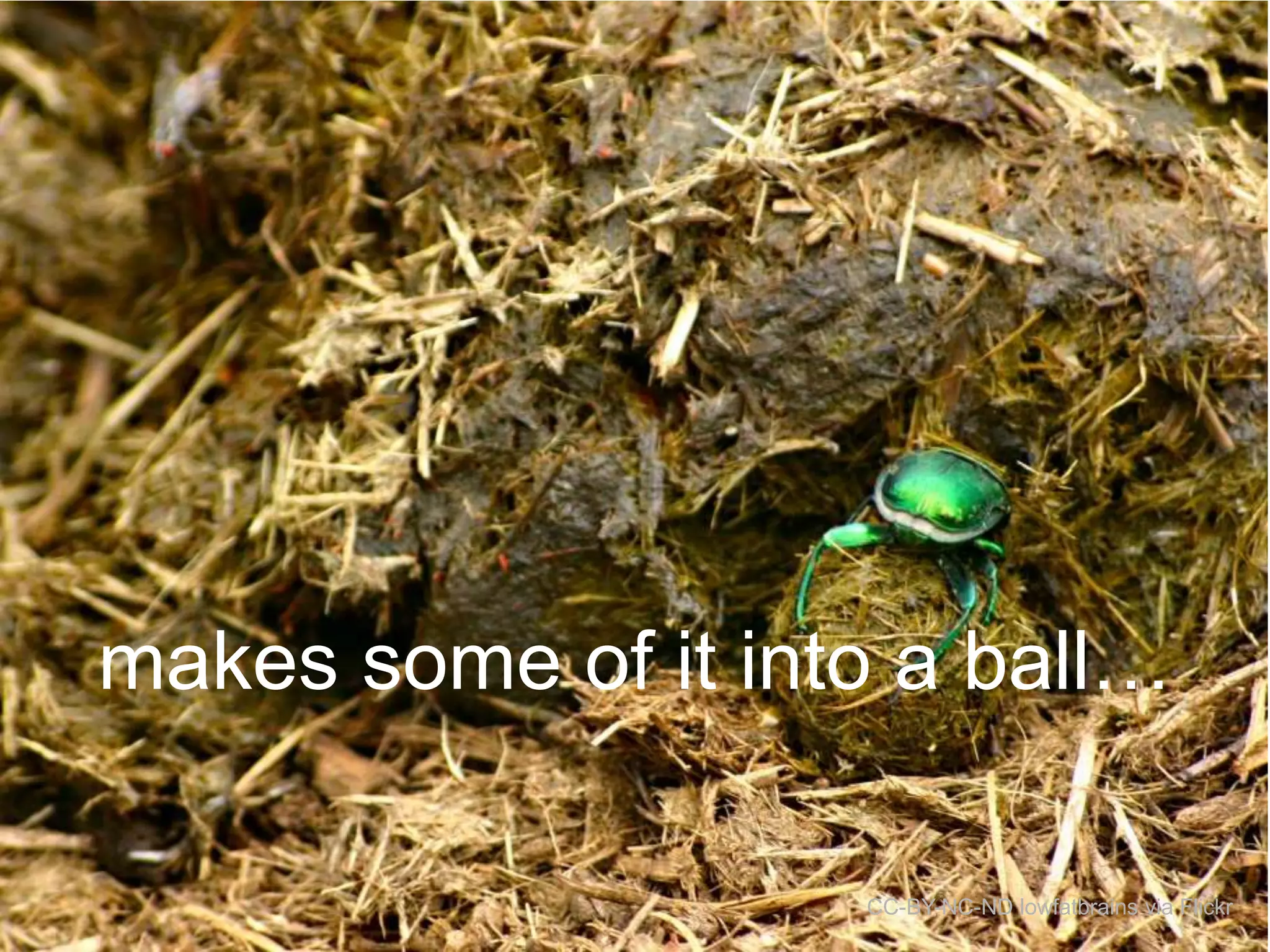 makes some of it into a ball…
CC-BY-NC-ND lowfatbrains via Flickr

 