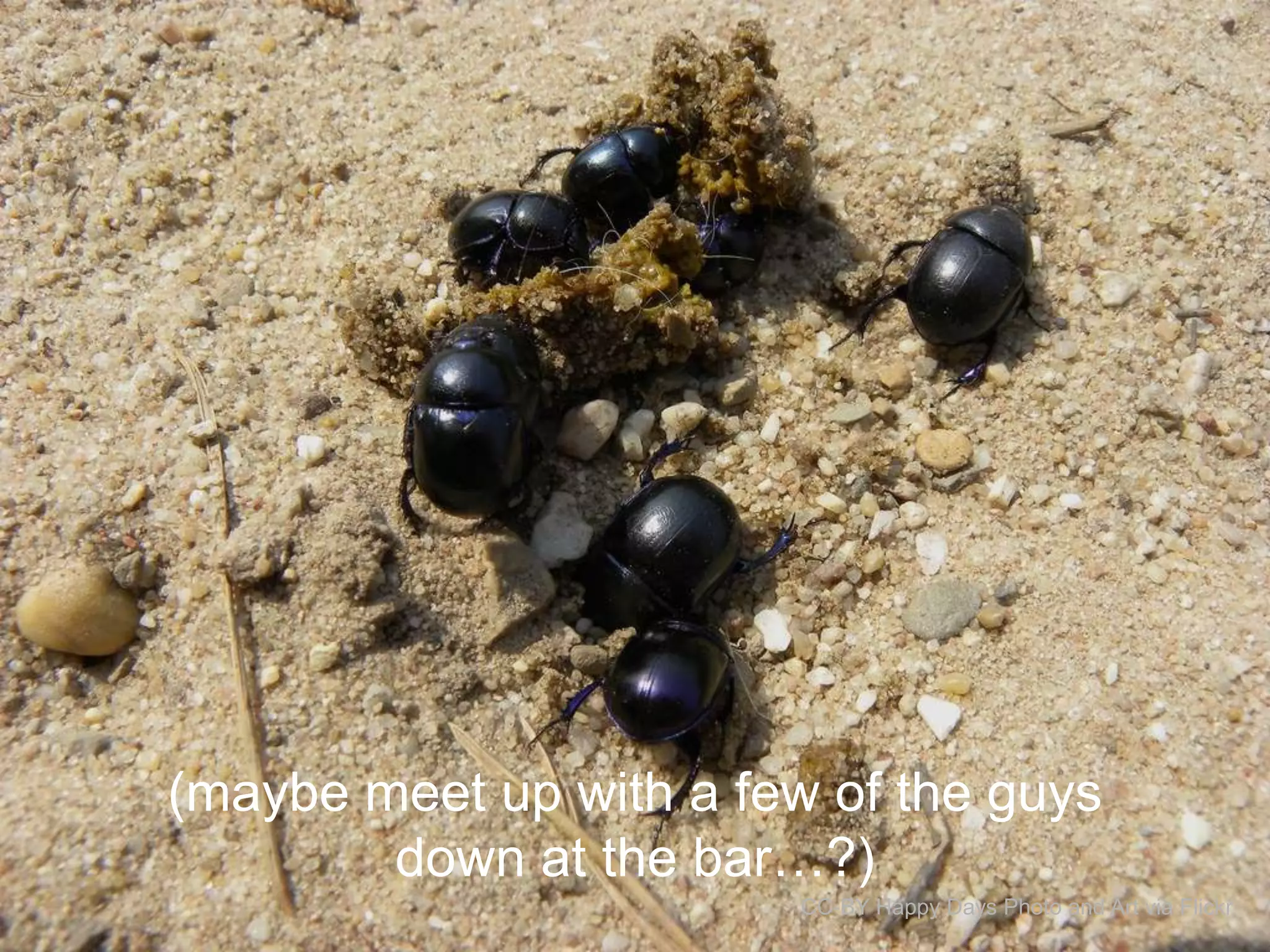 (maybe meet up with a few of the guys
down at the bar…?)
CC-BY Happy Days Photo and Art via Flickr

 