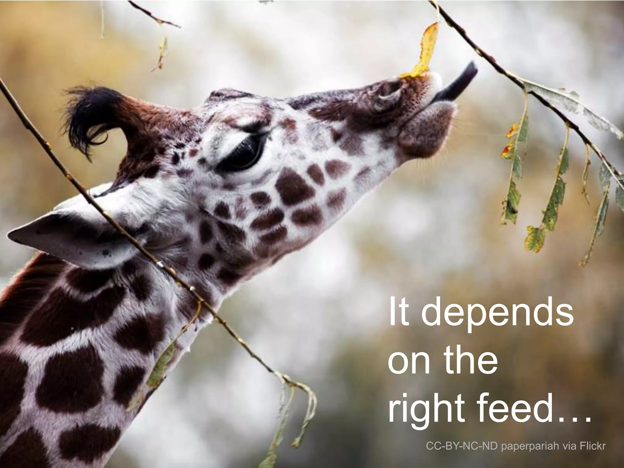 It depends
on the
right feed…
CC-BY-NC-ND paperpariah via Flickr

 
