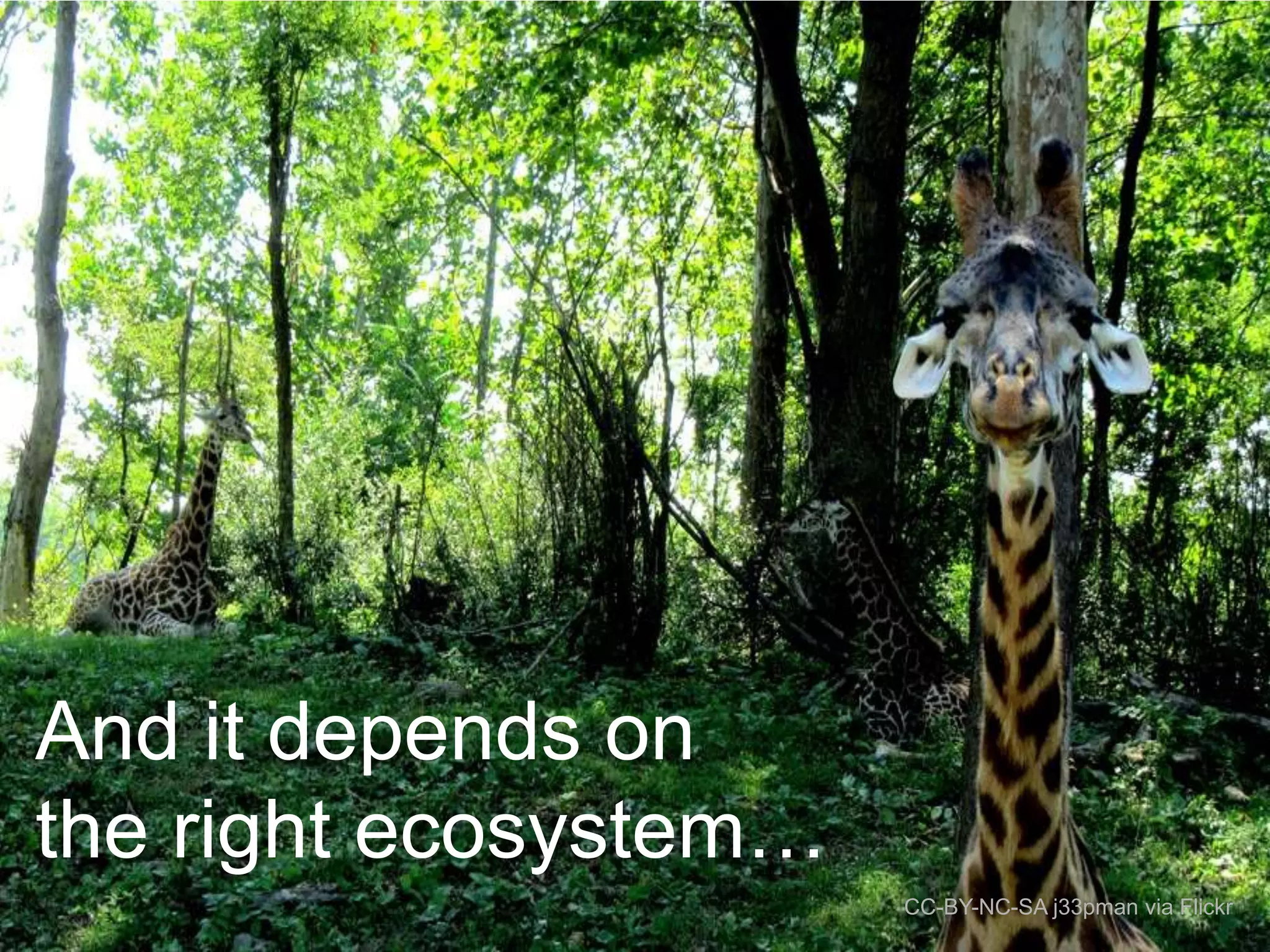 And it depends on
the right ecosystem…
CC-BY-NC-SA j33pman via Flickr

 