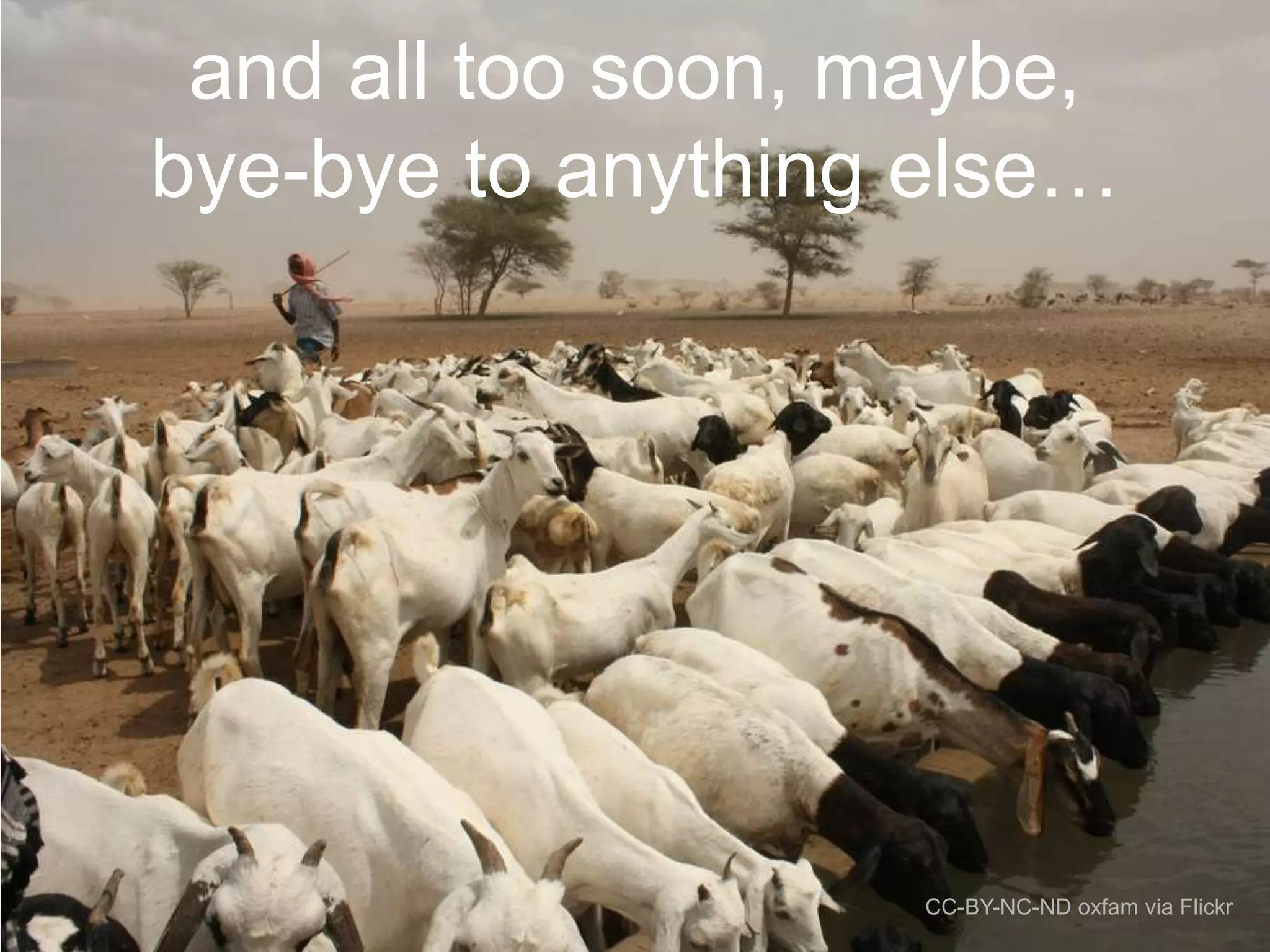 and all too soon, maybe,
bye-bye to anything else…

CC-BY-NC-ND oxfam via Flickr

 