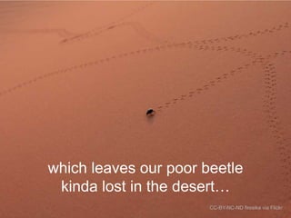 which leaves our poor beetle
kinda lost in the desert…
CC-BY-NC-ND firesika via Flickr

 