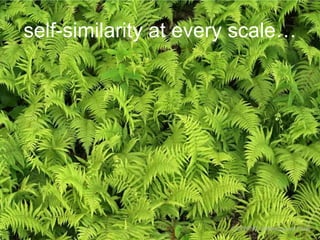 self-similarity at every scale…

CC-BY-NC catdancing via Flickr

 