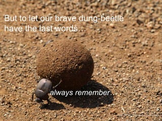 But to let our brave dung-beetle
have the last words…

always remember…
CC-BY-NC-ND wisse via Flickr

 
