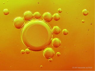 fractals…

CC-BY fdecomite via Flickr

 