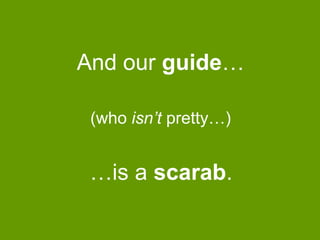 And our guide…
(who isn‟t pretty…)

…is a scarab.

 