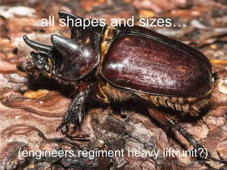 all shapes and sizes…

(engineers regiment heavy lift unit?)
CC-BY jkirkhart35 via Flickr

 