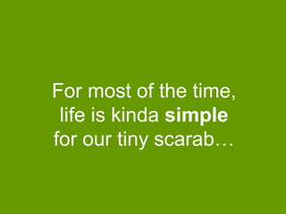 For most of the time,
life is kinda simple
for our tiny scarab…

 