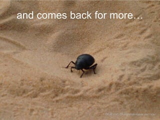 and comes back for more…

CC-BY-NC-SA marshall-mayer via Flickr

 