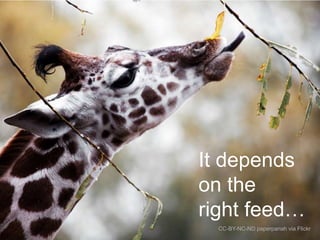 It depends
on the
right feed…
CC-BY-NC-ND paperpariah via Flickr

 