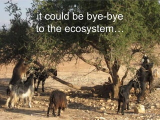 it could be bye-bye
to the ecosystem…

CC-BY wonker via Flickr

 