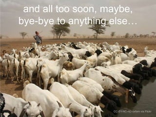 and all too soon, maybe,
bye-bye to anything else…

CC-BY-NC-ND oxfam via Flickr

 