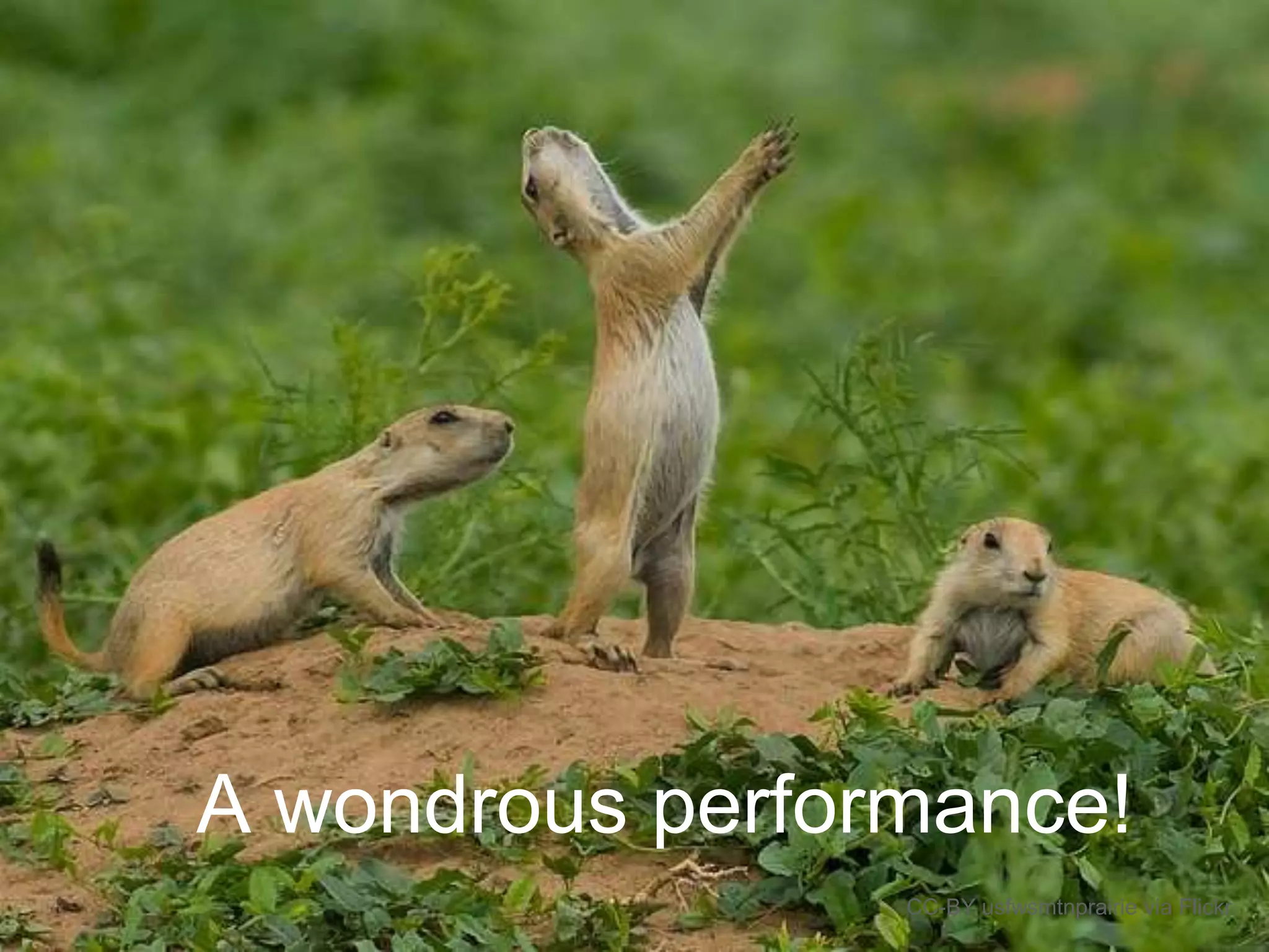 A wondrous performance!
CC-BY usfwsmtnprairie via Flickr
 