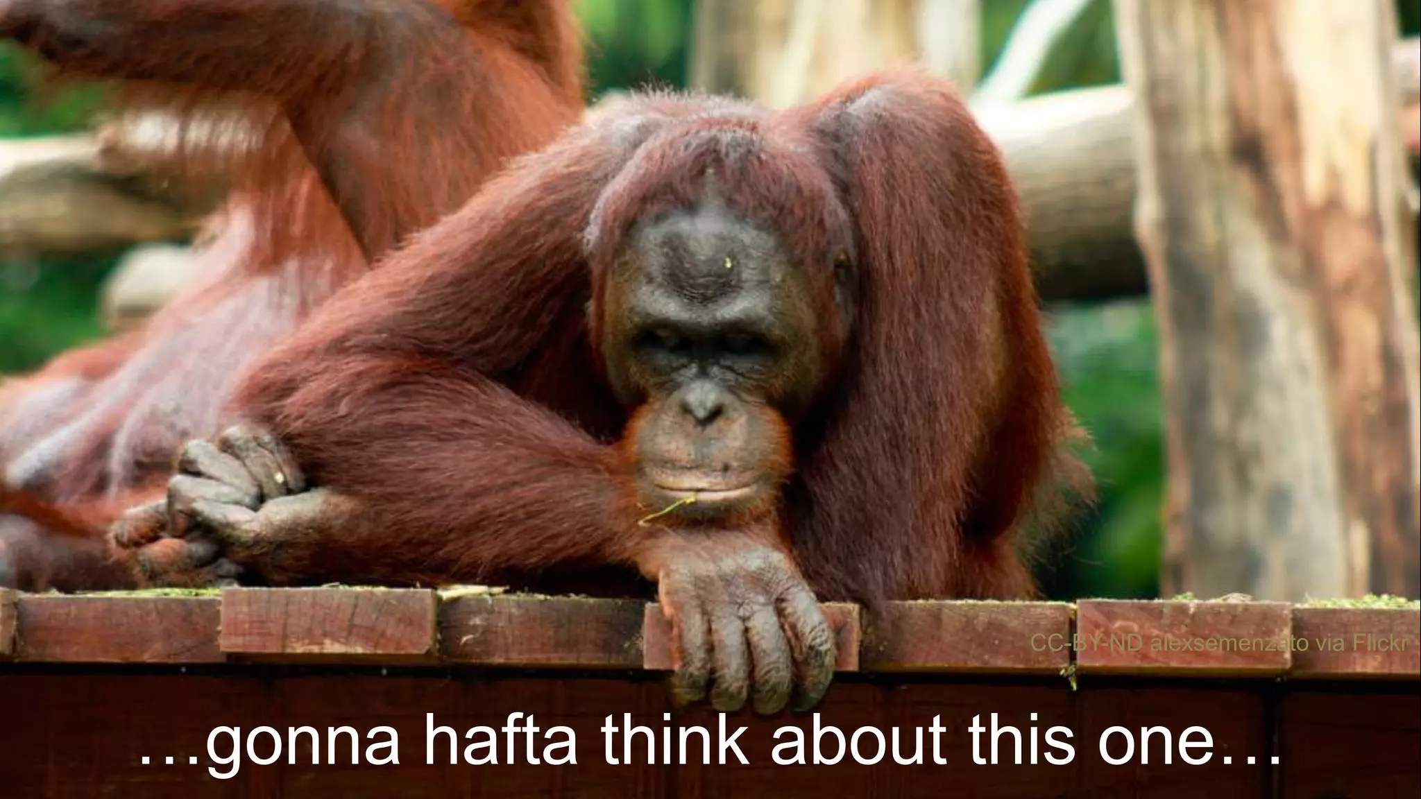 …gonna hafta think about this one…
CC-BY-ND alexsemenzato via Flickr
 