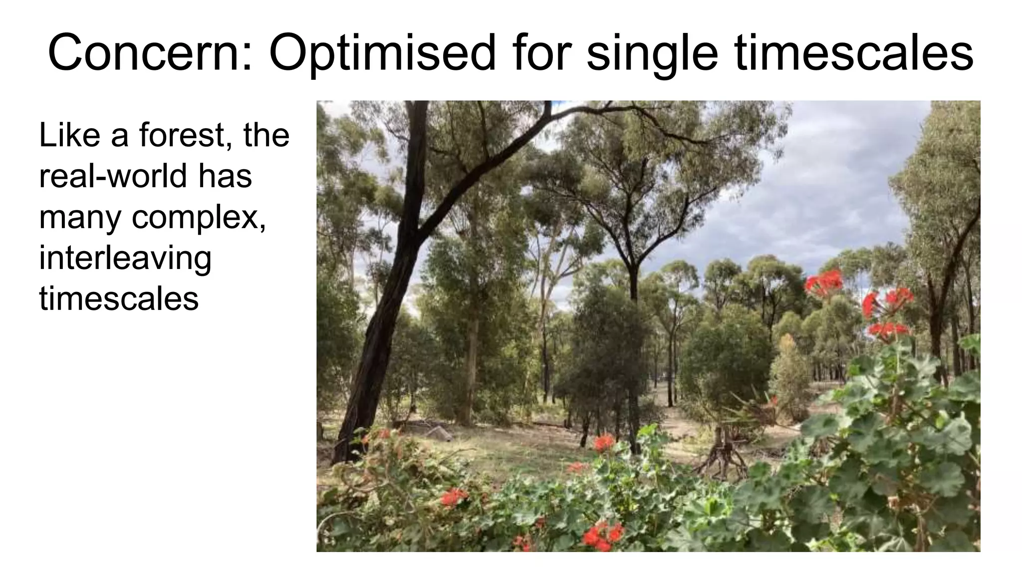 Concern: Optimised for single timescales
Like a forest, the
real-world has
many complex,
interleaving
timescales
 