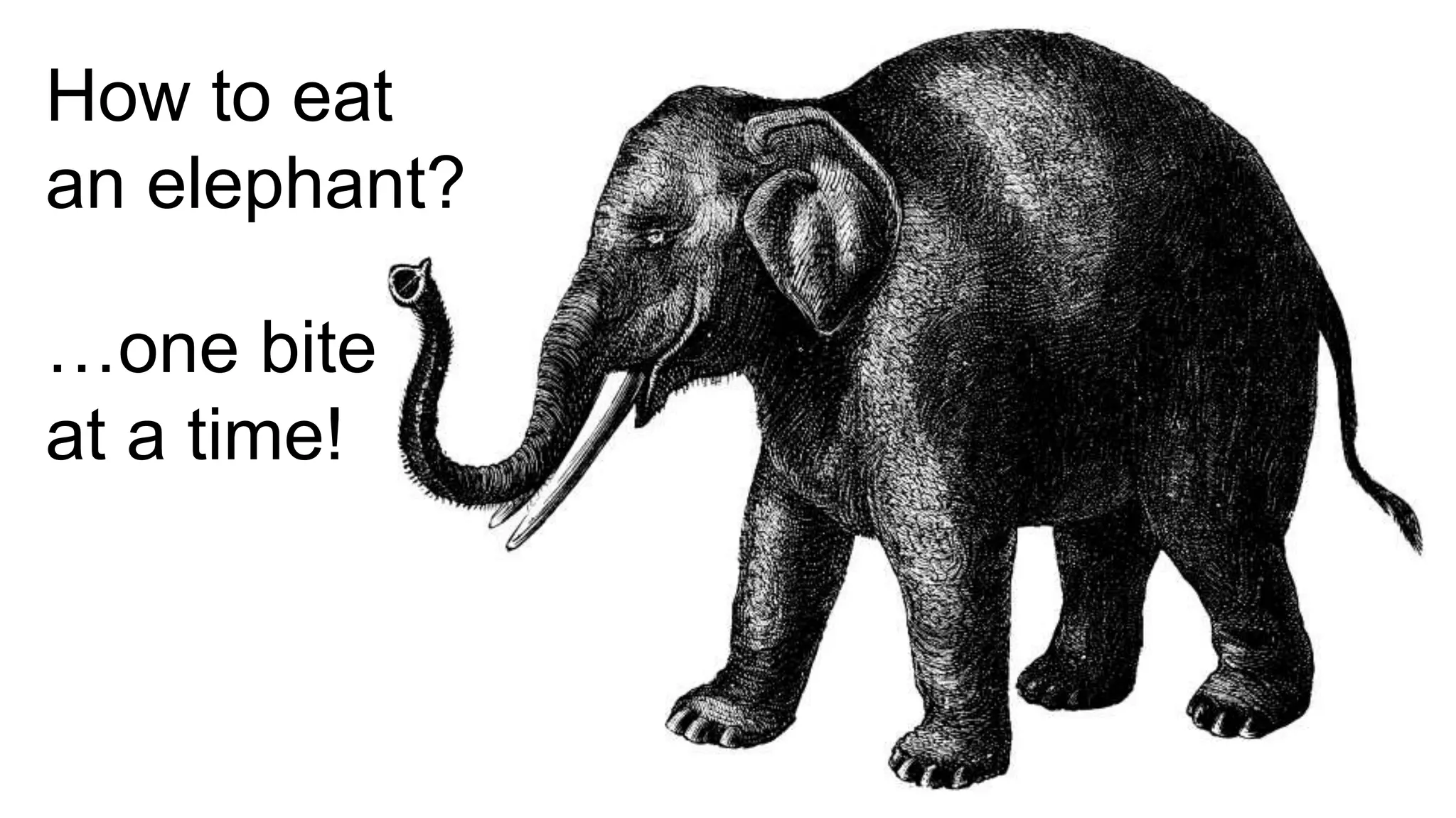 How to eat
an elephant?
…one bite
at a time!
 