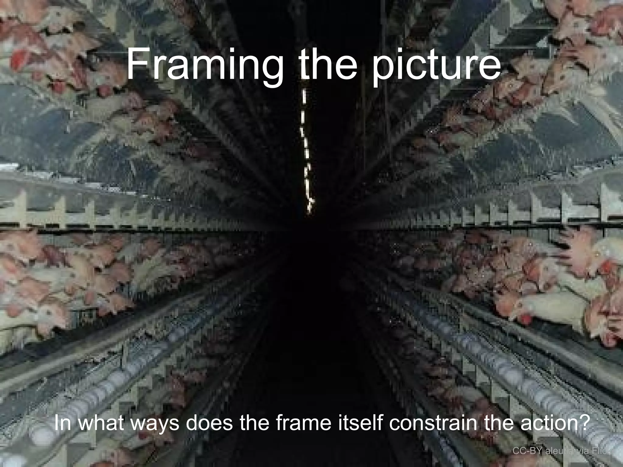 Framing the picture
In what ways does the frame itself constrain the action?
CC-BY aleutia via Flickr
 