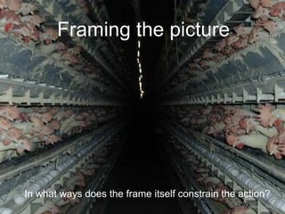 Framing the picture
In what ways does the frame itself constrain the action?
CC-BY aleutia via Flickr
 