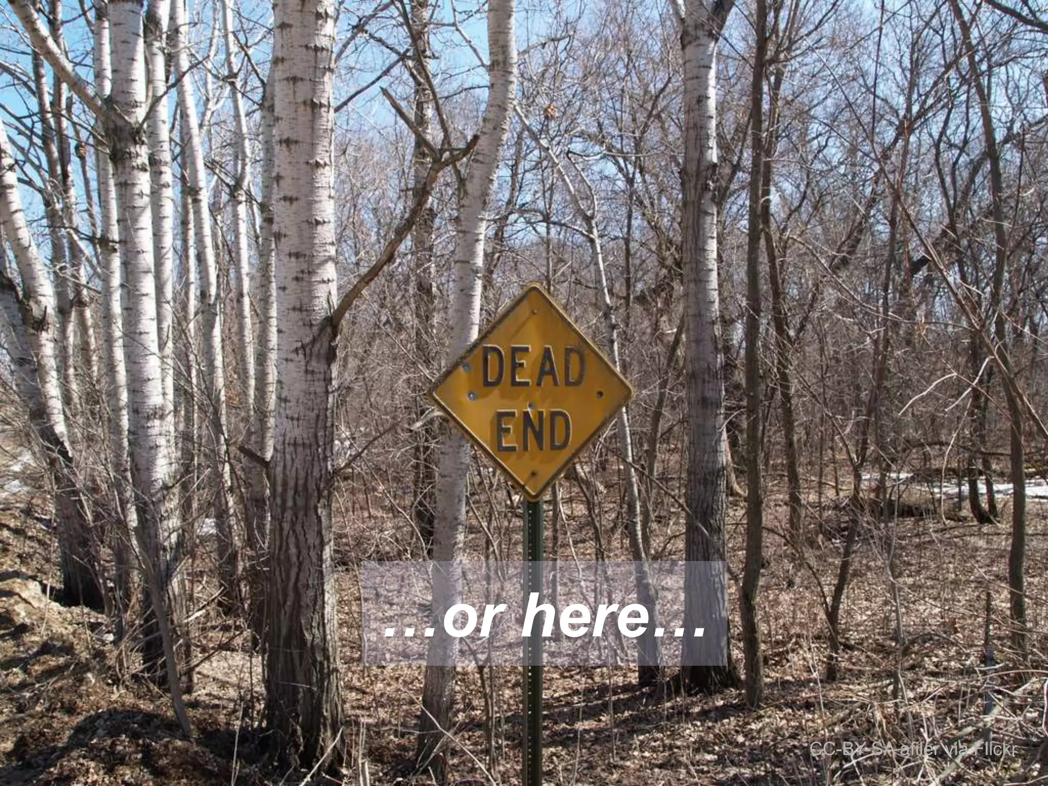 …or here… 
CC-BY-SA afiler via Flickr 
 