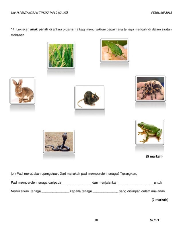 Tg2 soalan sains ujian awal tahun 2018