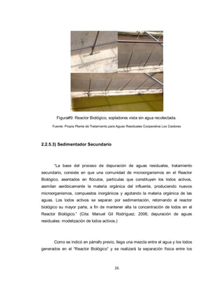 Figura#9: Reactor Biológico, sopladores vista sin agua recolectada.
Fuente: Propia Planta de Tratamiento para Aguas Residuales Cooperativa Los Castores

2.2.5.3) Sedimentador Secundario

“La base del proceso de depuración de aguas residuales, tratamiento
secundario, consiste en que una comunidad de microorganismos en el Reactor
Biológico, asentados en flóculos, partículas que constituyen los lodos activos,
asimilan aeróbicamente la materia orgánica del influente, produciendo nuevos
microorganismos, compuestos inorgánicos y agotando la materia orgánica de las
aguas. Los lodos activos se separan por sedimentación, retornando al reactor
biológico su mayor parte, a fin de mantener alta la concentración de lodos en el
Reactor Biológico.” (Cita: Manuel Gil Rodríguez; 2006; depuración de aguas
residuales: modelización de lodos activos.)

Como se indicó en párrafo previo, llega una mezcla entre el agua y los lodos
generados en el “Reactor Biológico” y se realizará la separación física entre los

26

 