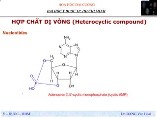 HOA HOC DAI CUONG
Y – DUOC – RHM Dr. DANG Van Hoai
DAI HOC Y DUOC TP. HO CHI MINH
HỢP CHẤT DỊ VÒNG (Heterocyclic compound)
.
Nucleotides
N
N N
N
NH2
O
H
OH
HH
O
H
C
H2
O
P
O
OH
Adenosine 3',5'-cyclic monophosphate (cyclic AMP)
 