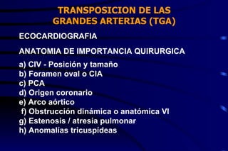 TRANSPOSICION DE LAS GRANDES ARTERIAS (TGA) ECOCARDIOGRAFIA ANATOMIA DE IMPORTANCIA QUIRURGICA a) CIV - Posición y tamaño b) Foramen oval o CIA c) PCA d) Origen coronario e) Arco aórtico f) Obstrucción dinámica o anatómica VI g) Estenosis / atresia pulmonar h) Anomalías tricuspídeas 