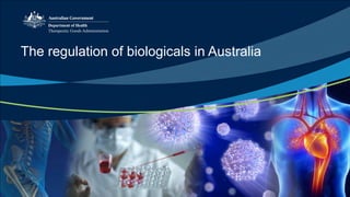 The regulation of biologicals in Australia
 