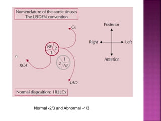 Normal -2/3 and Abnormal -1/3
 