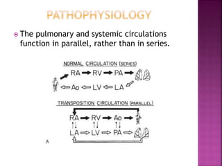  The pulmonary and systemic circulations
function in parallel, rather than in series.
 