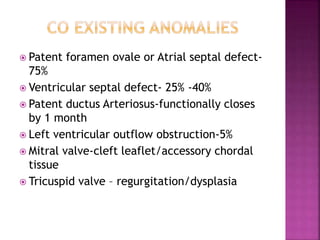  Patent foramen ovale or Atrial septal defect-
75%
 Ventricular septal defect- 25% -40%
 Patent ductus Arteriosus-functionally closes
by 1 month
 Left ventricular outflow obstruction-5%
 Mitral valve-cleft leaflet/accessory chordal
tissue
 Tricuspid valve – regurgitation/dysplasia
 