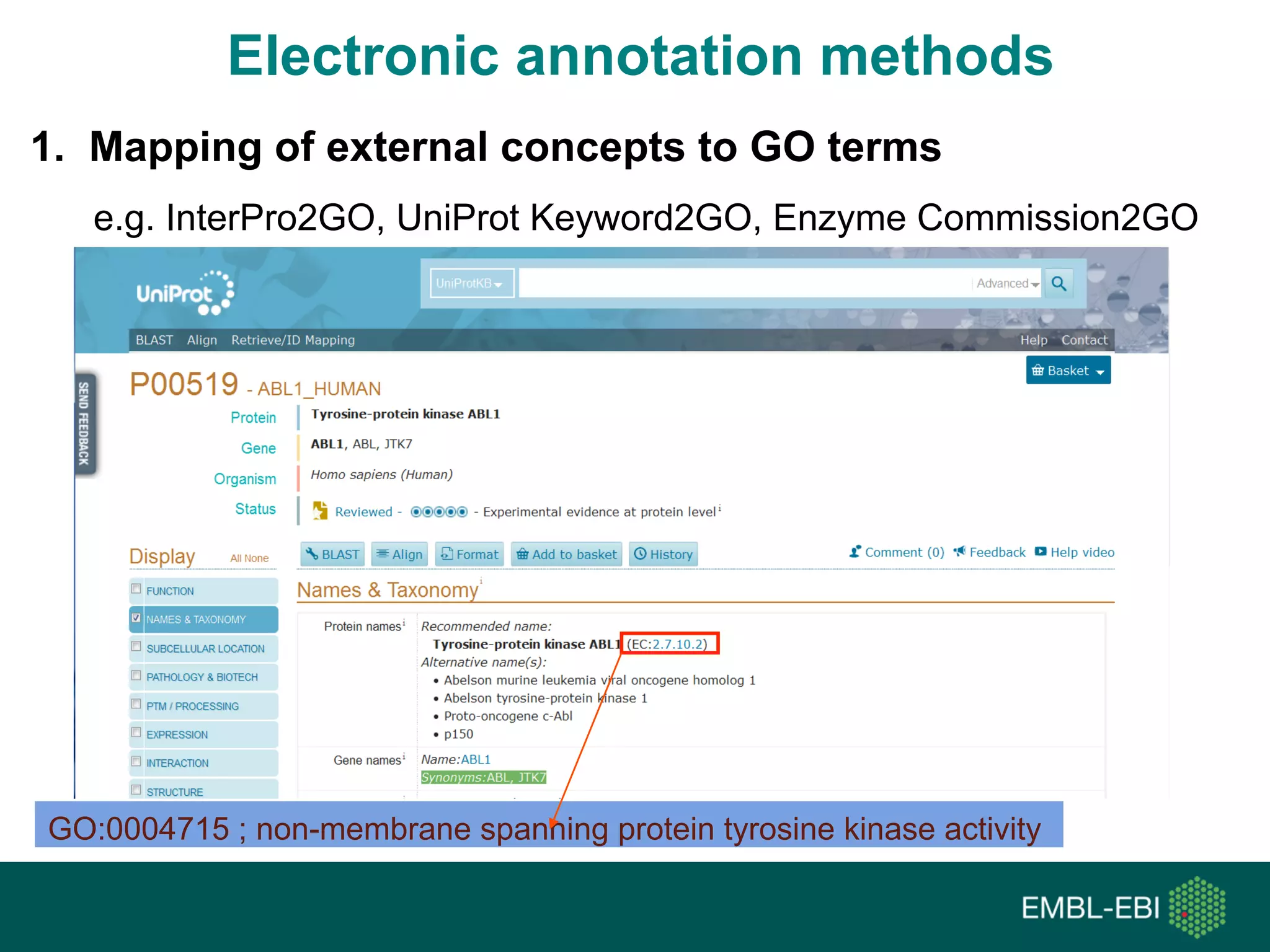 1. Mapping of external concepts to GO terms
e.g. InterPro2GO, UniProt Keyword2GO, Enzyme Commission2GO
Electronic annotation methods
GO:0004715 ; non-membrane spanning protein tyrosine kinase activity
 