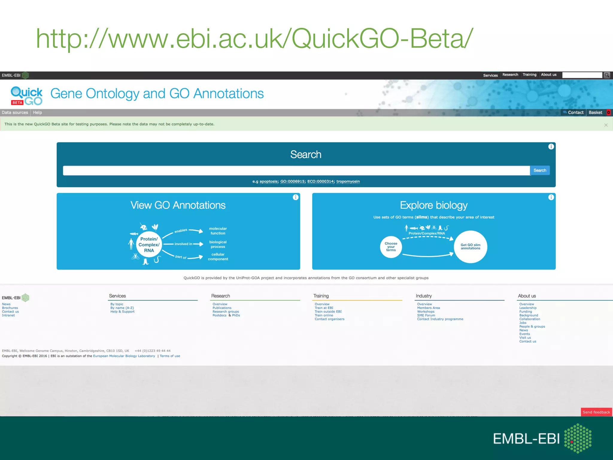 http://www.ebi.ac.uk/QuickGO-Beta/
 