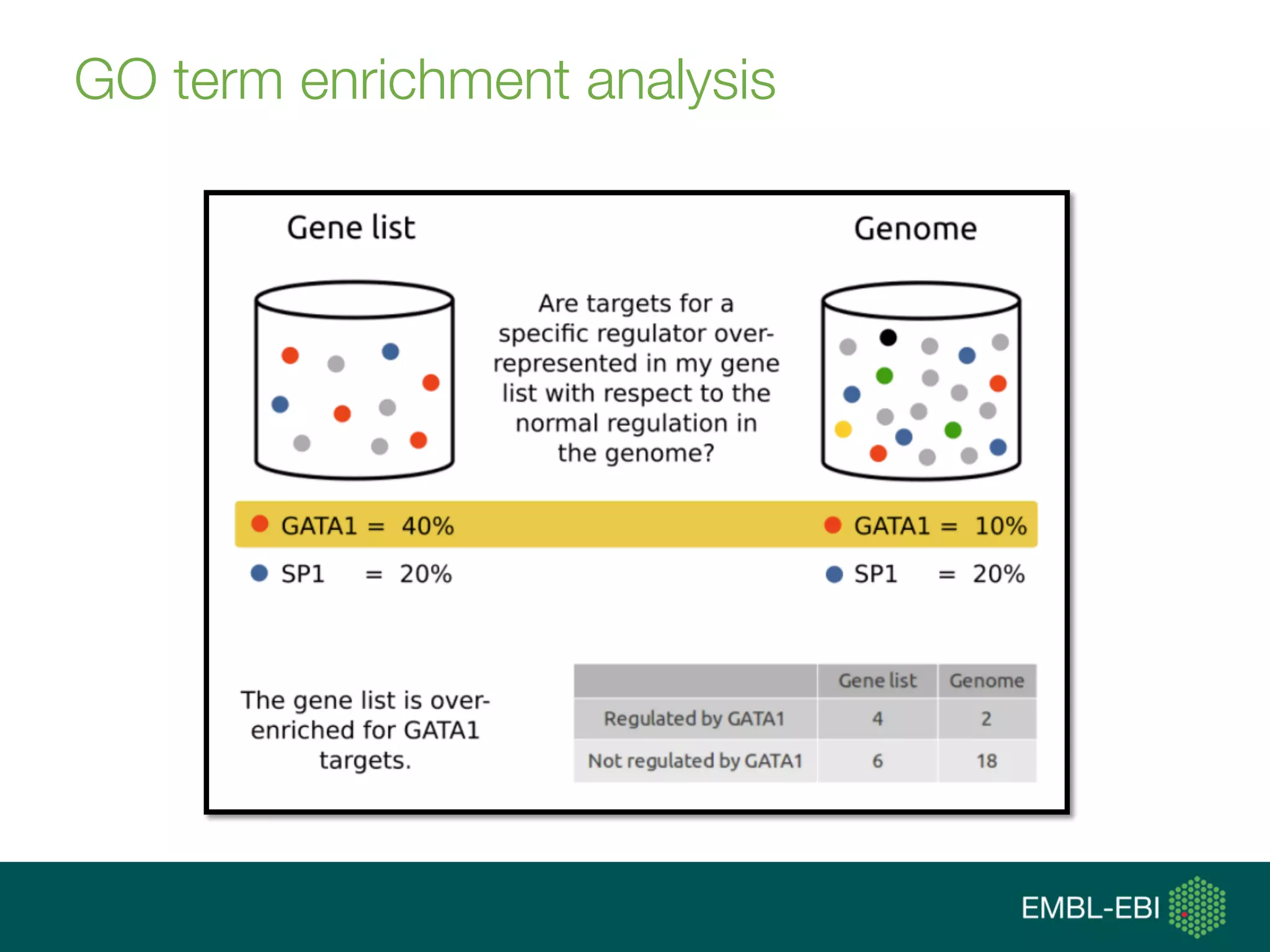 GO term enrichment analysis
 