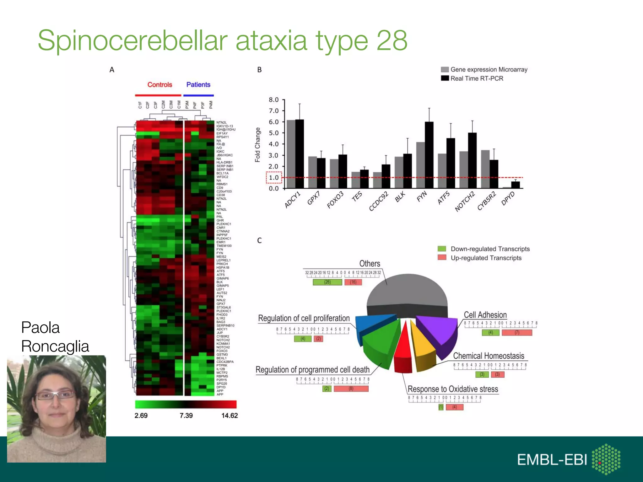 Spinocerebellar ataxia type 28
Paola
Roncaglia
 