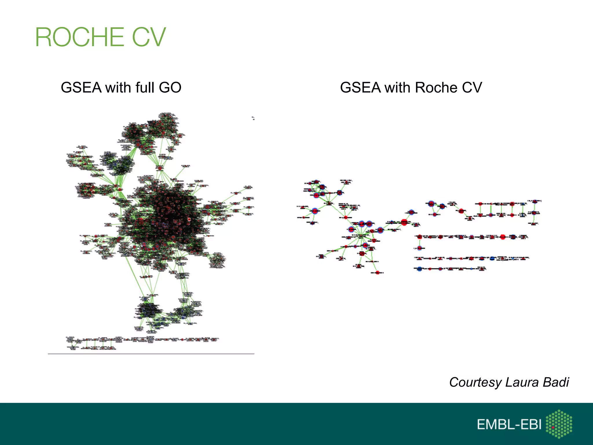 ROCHE CV
GSEA with full GO GSEA with Roche CV
Courtesy Laura Badi
 