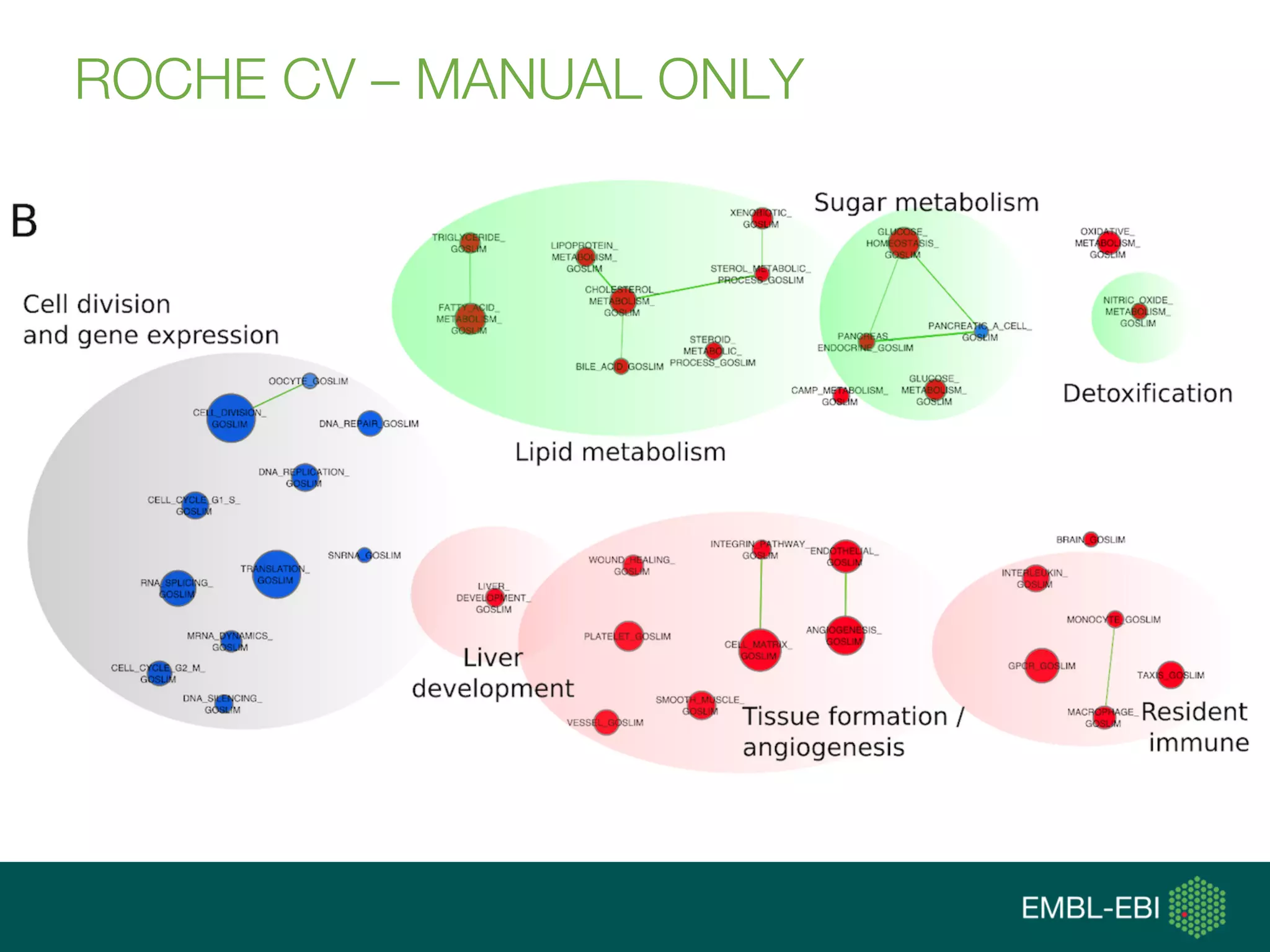 ROCHE CV – MANUAL ONLY
 