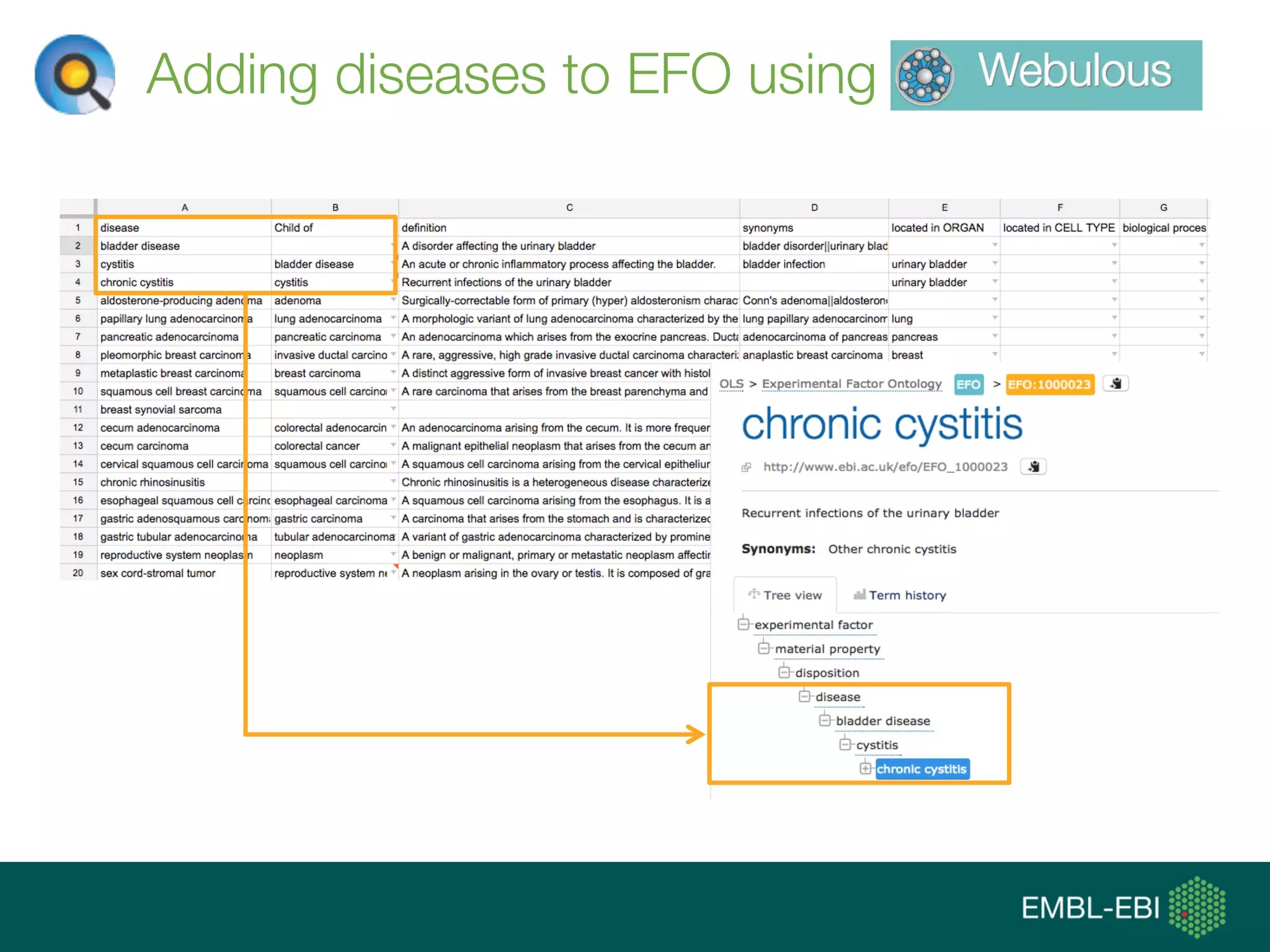 Adding diseases to EFO using
 