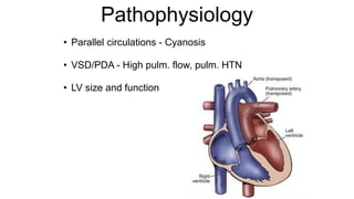 TGA (part 2).pptx